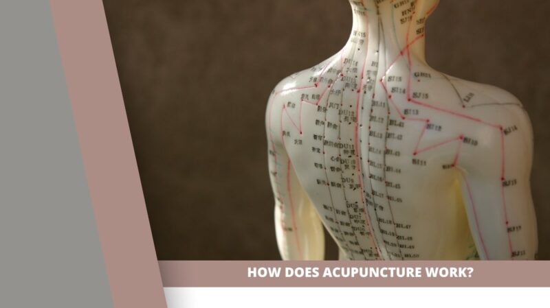 How Does Acupuncture Work