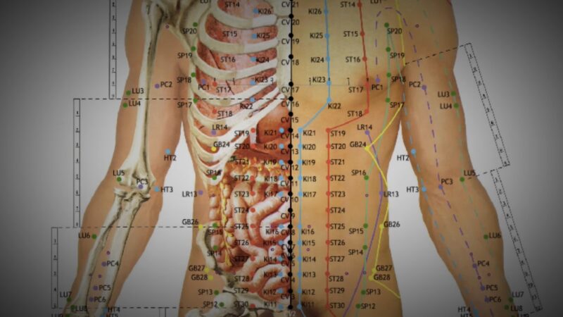 acupuncture meridians