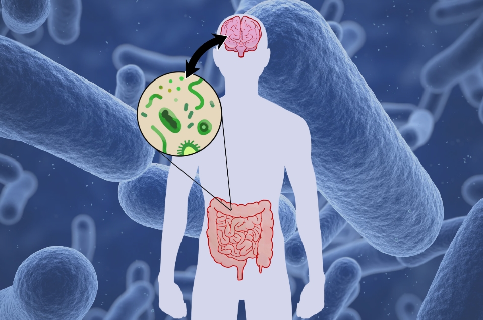 Gut Microbes and Mental Health