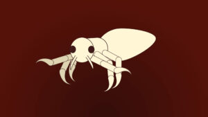 Lice Visual